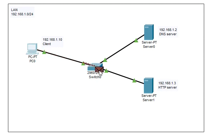 packet-to-switch