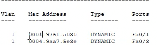 mac-address-table
