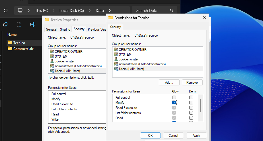 security-permissions